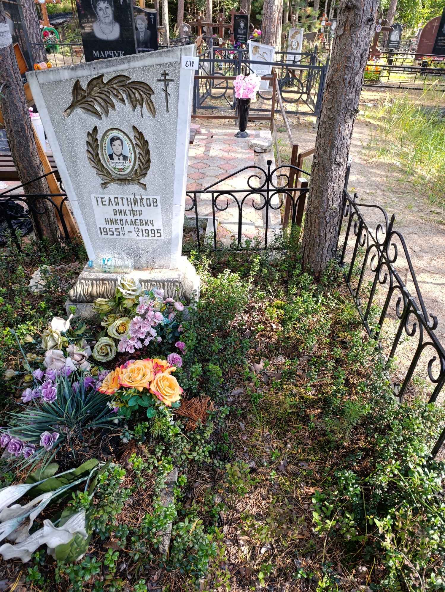 Телятников Виктор Николаевич