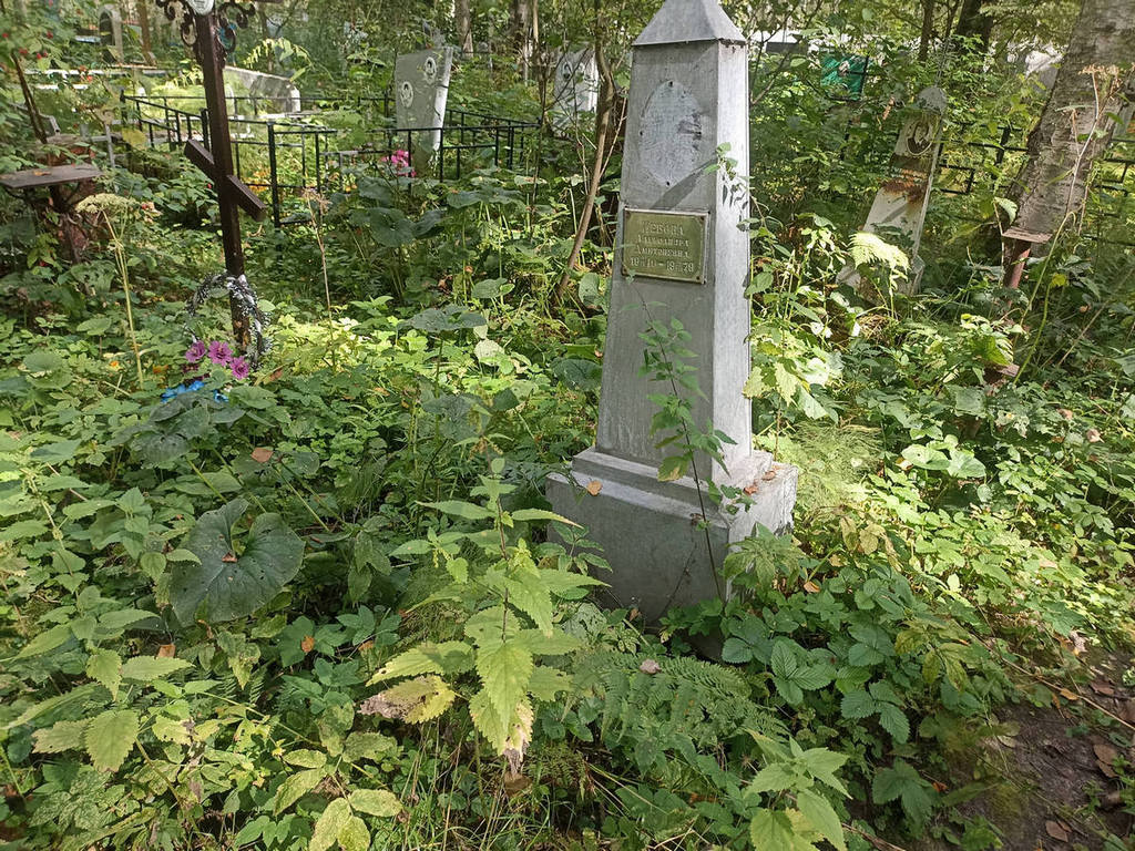 Небова Александра Дмитриевна