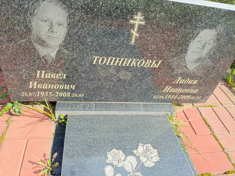 Топников