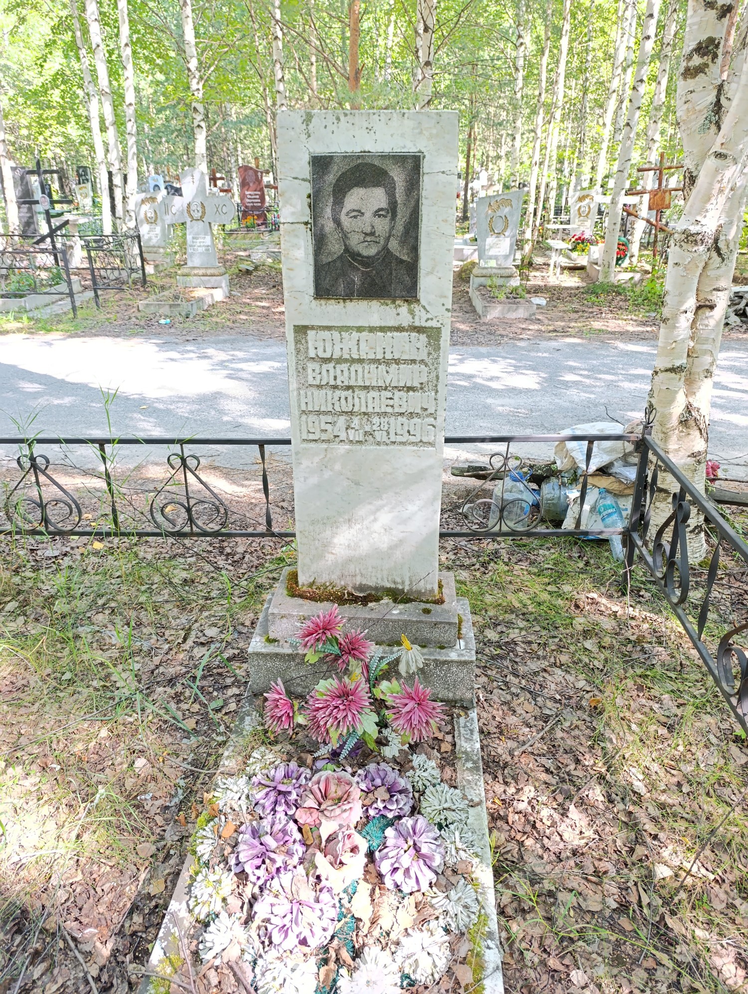 Южанин Владимир Николаевич
