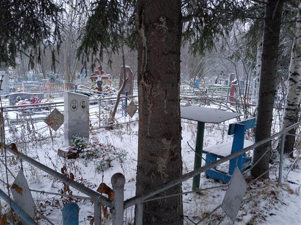 Боровикова Анна Алексеевна