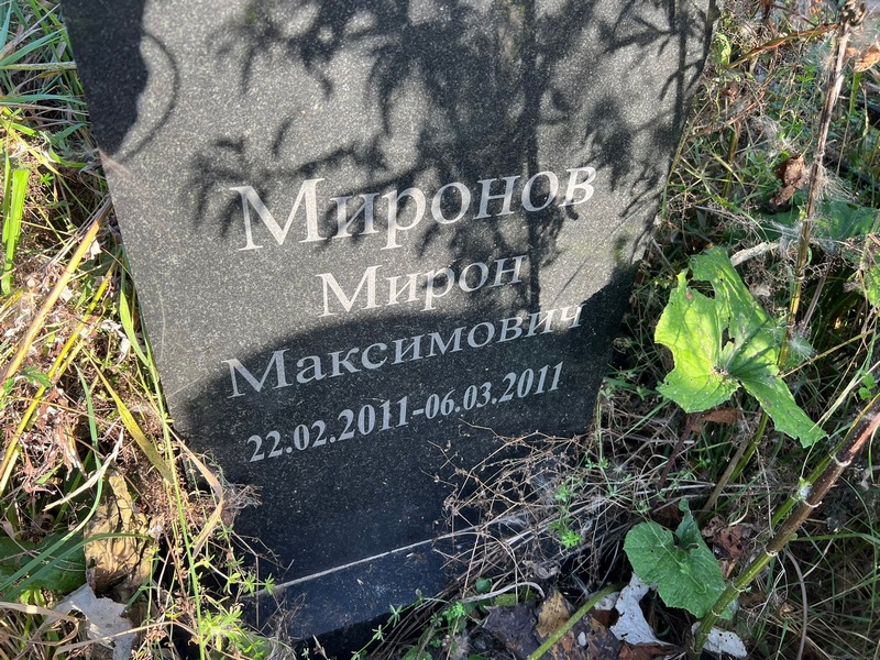 Мирон Миронов Максимович