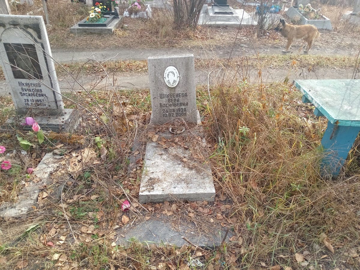 Шкабенёва Вера Васильевна