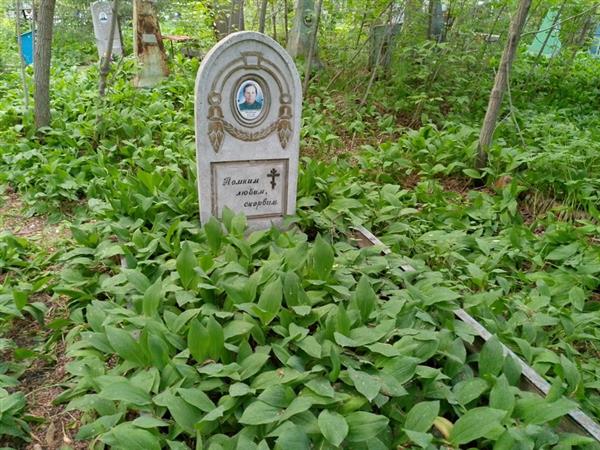Мирошникова Ульяна Михайловна