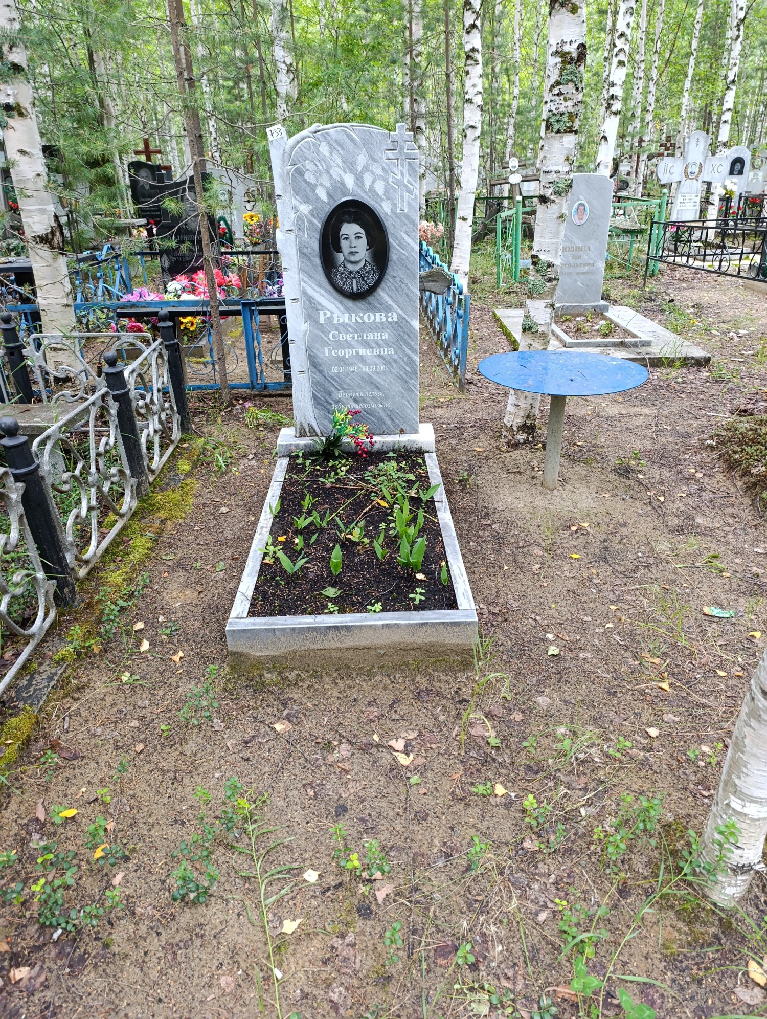 Рыкова Светлана Георгиевна