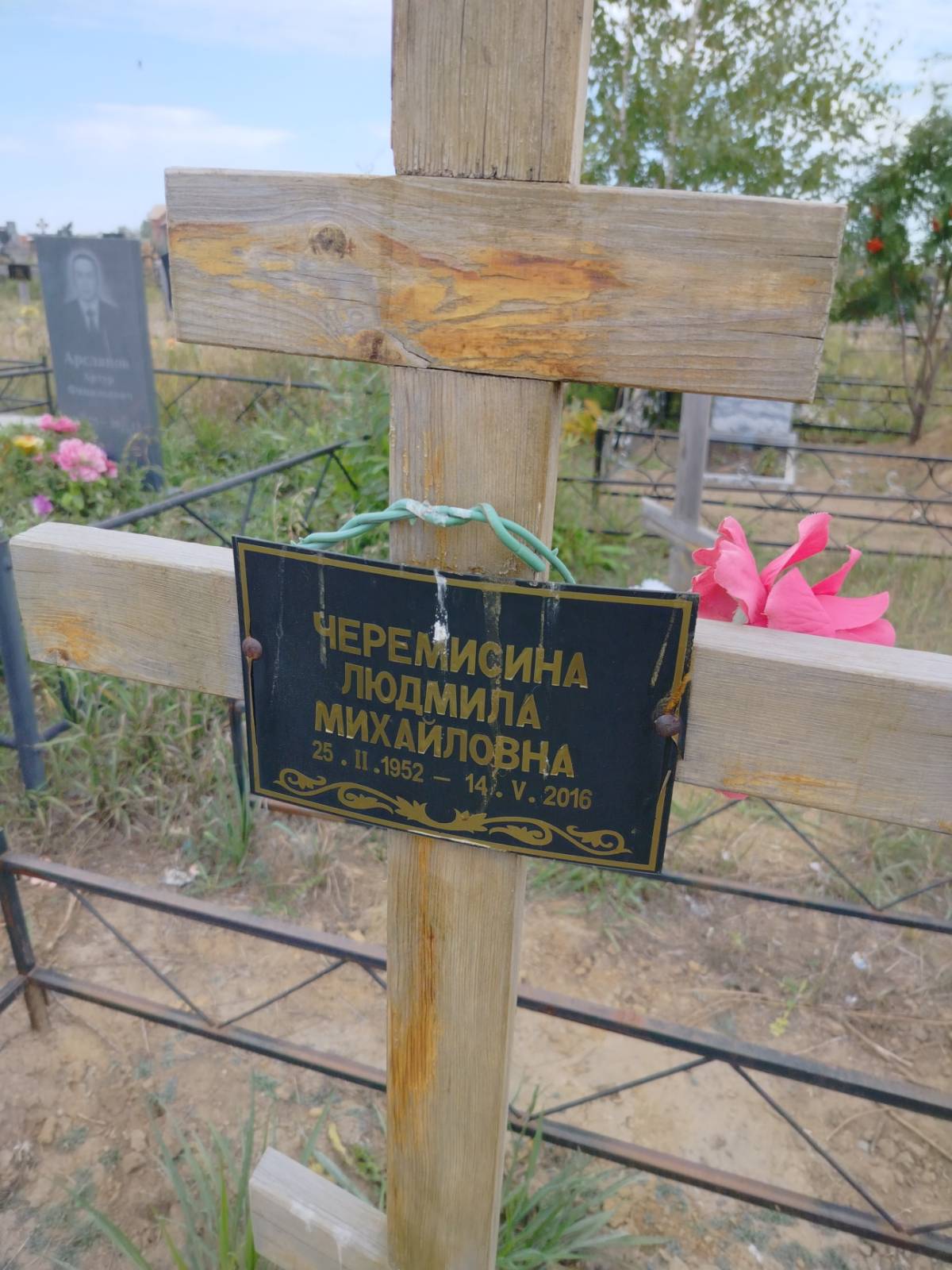 Черемисина Людмила Михайловна