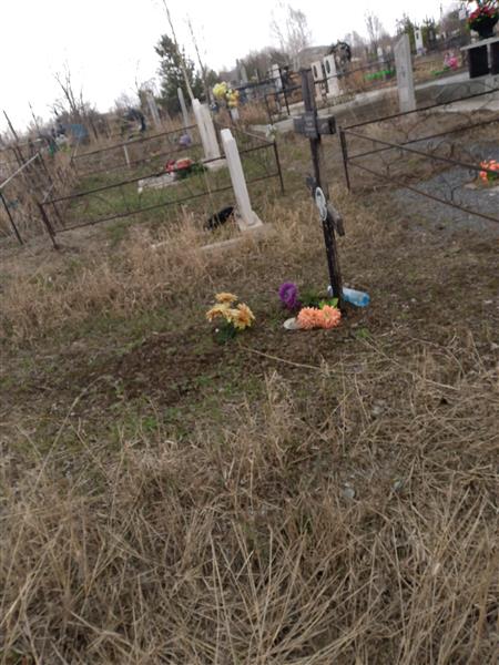 Попович Галина Васильевна
