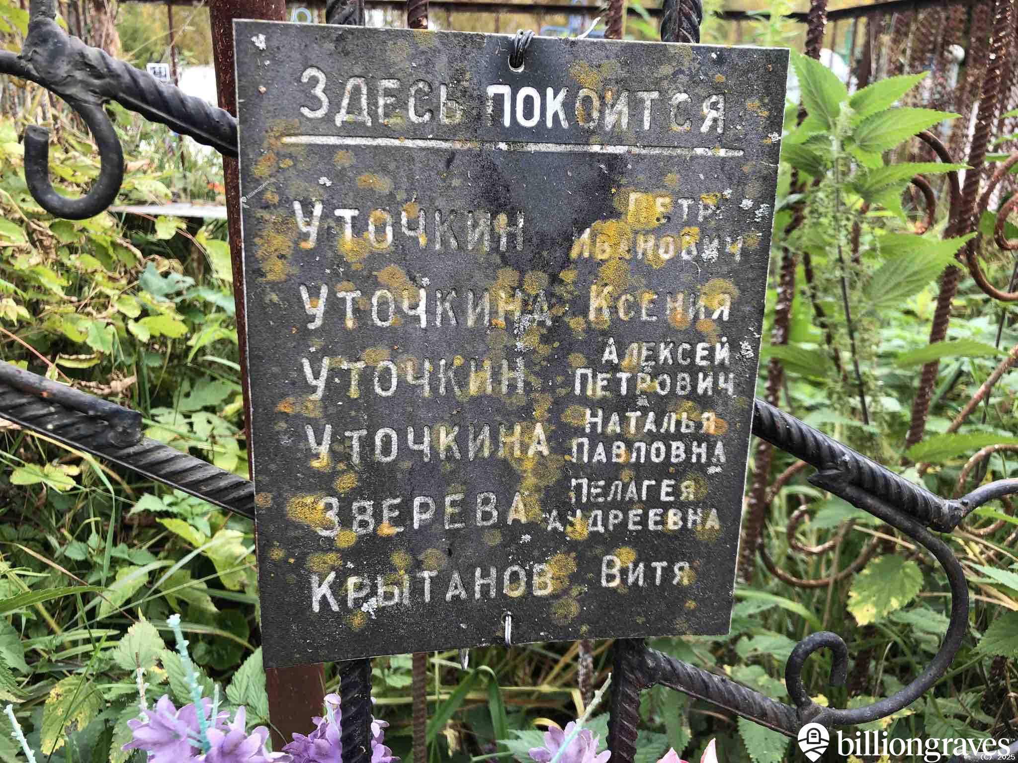 Мочалова Мария Андреевна