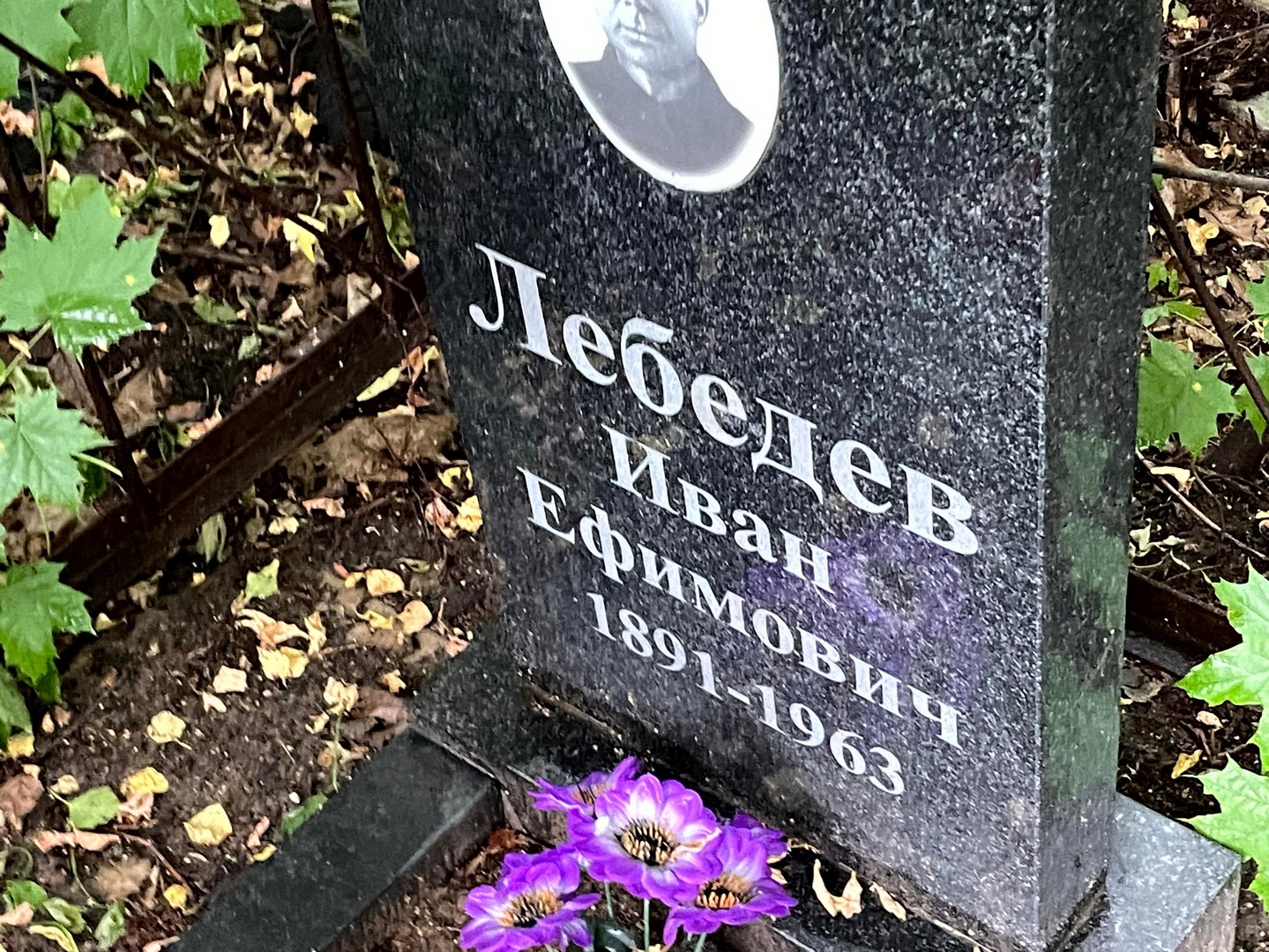 Лебедев