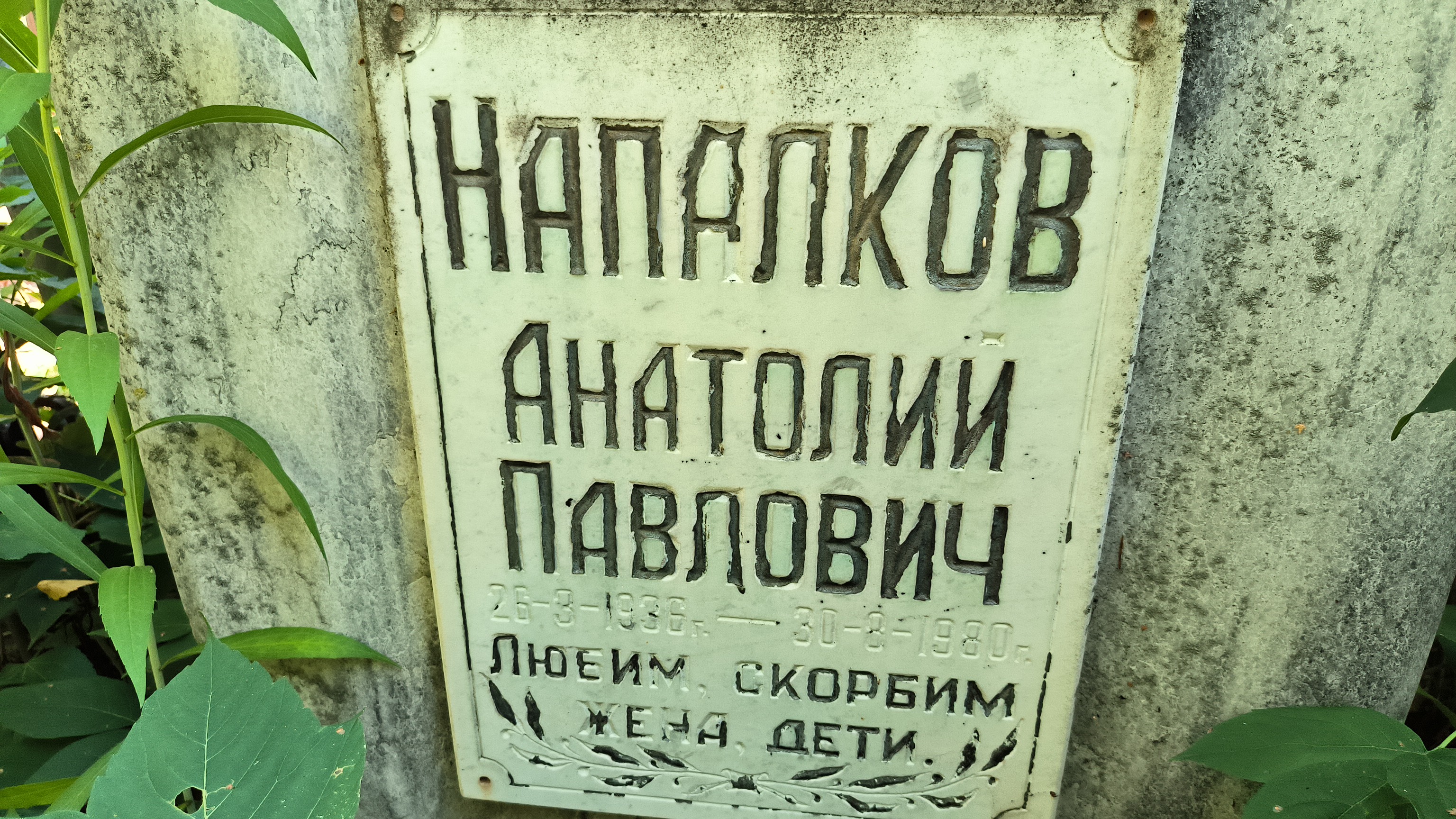 Напалков Анатолий Павлович