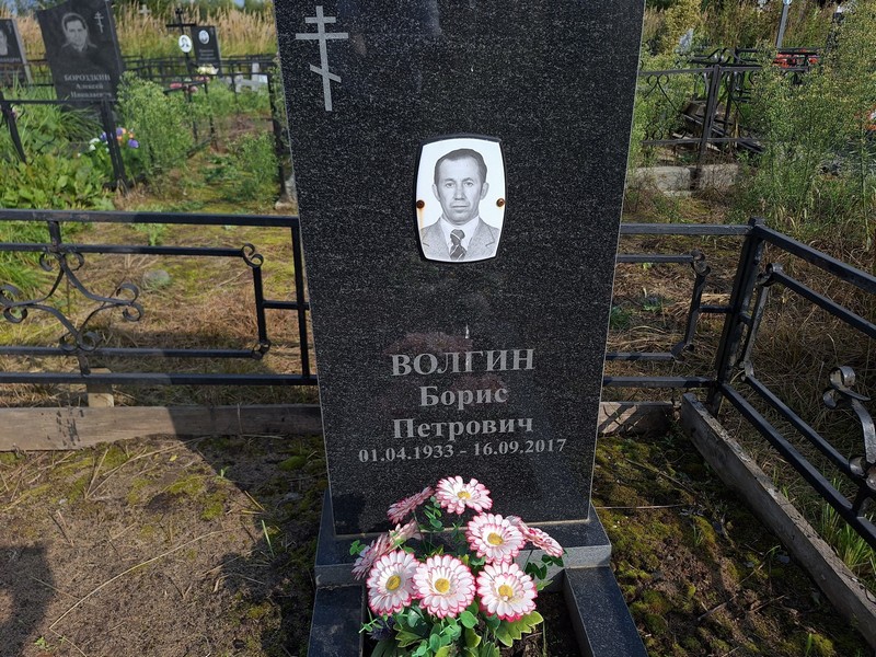 Волгин