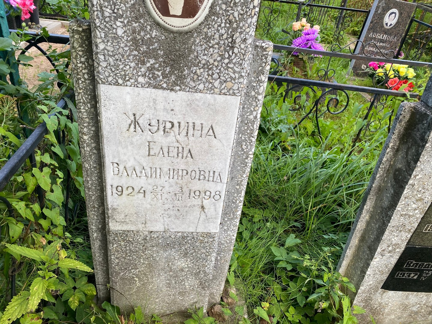Журина
