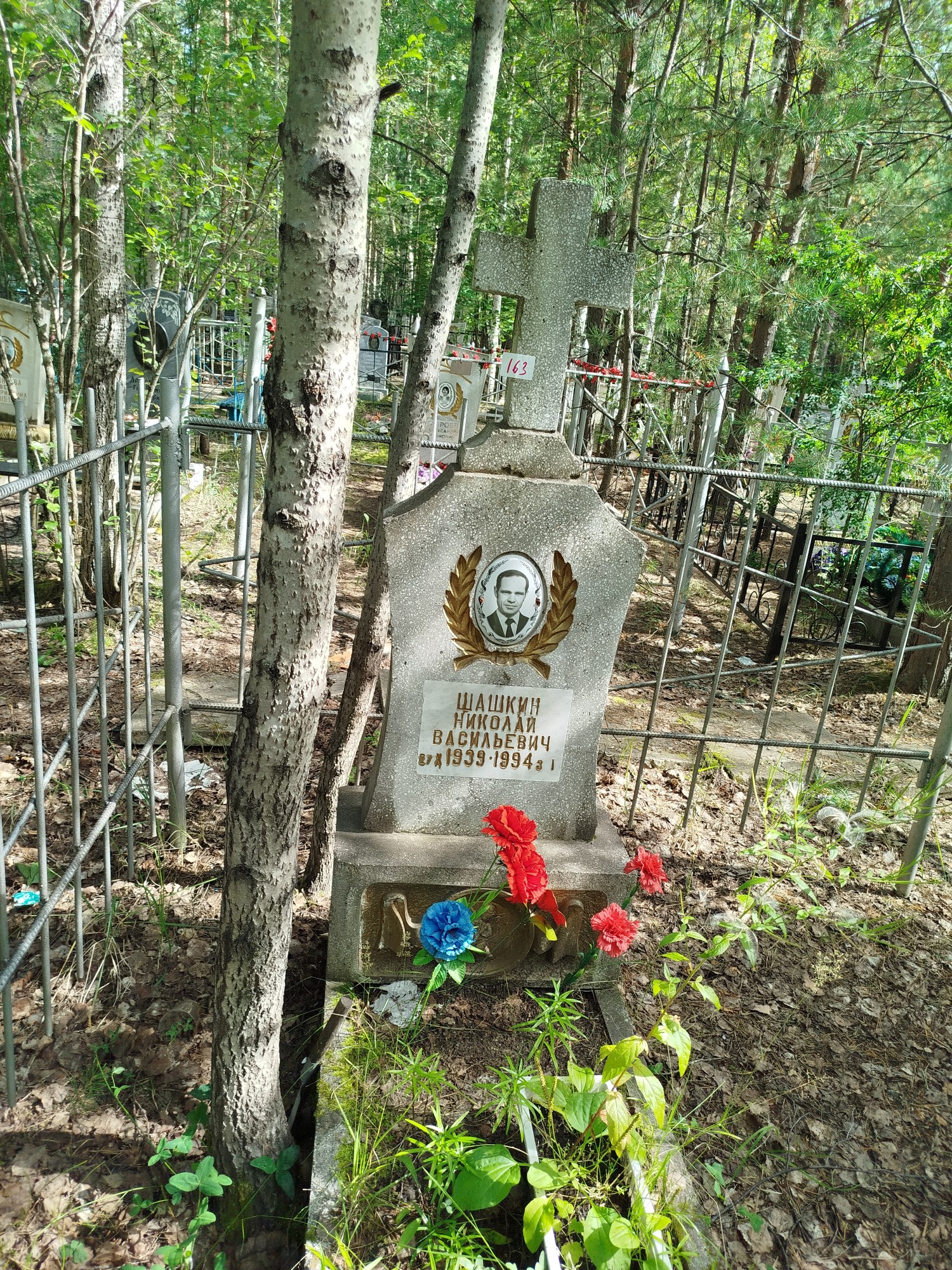 Шашкин Николай Васильевич