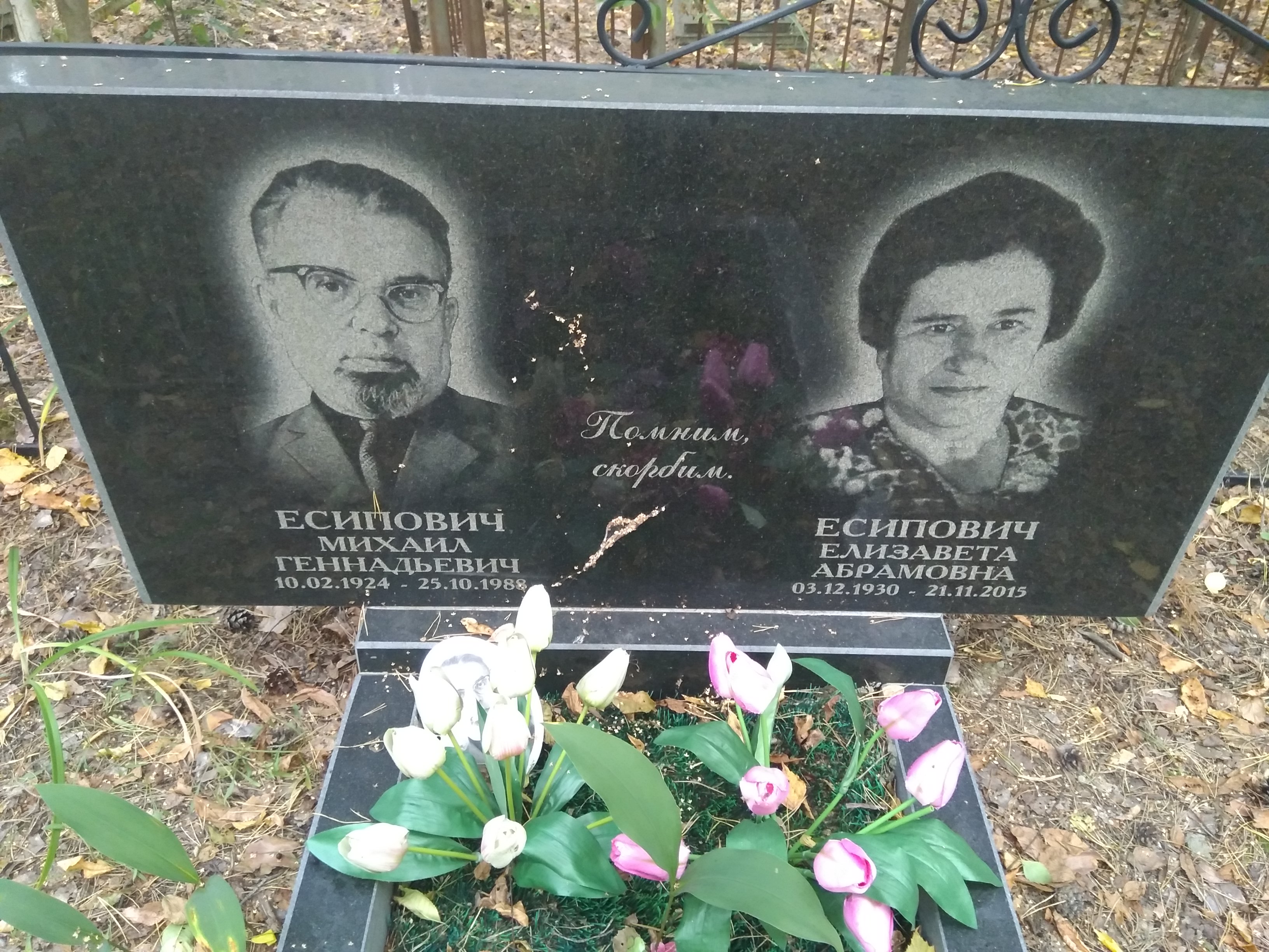Есипович Елизавета Абрамовна