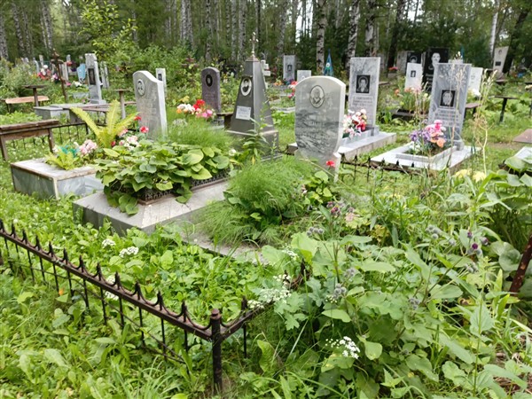 Шимоф Амалия Андреевна