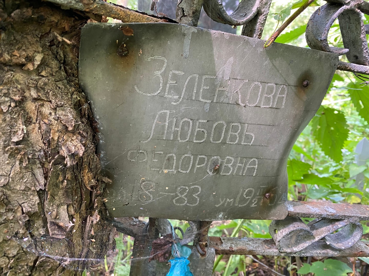 Зеленкова