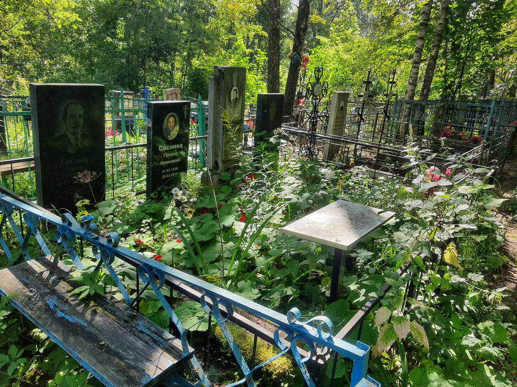 Соснин Сергей Сергеевич