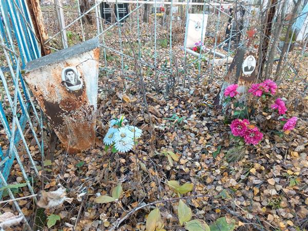 Коширин Василий Николаевич