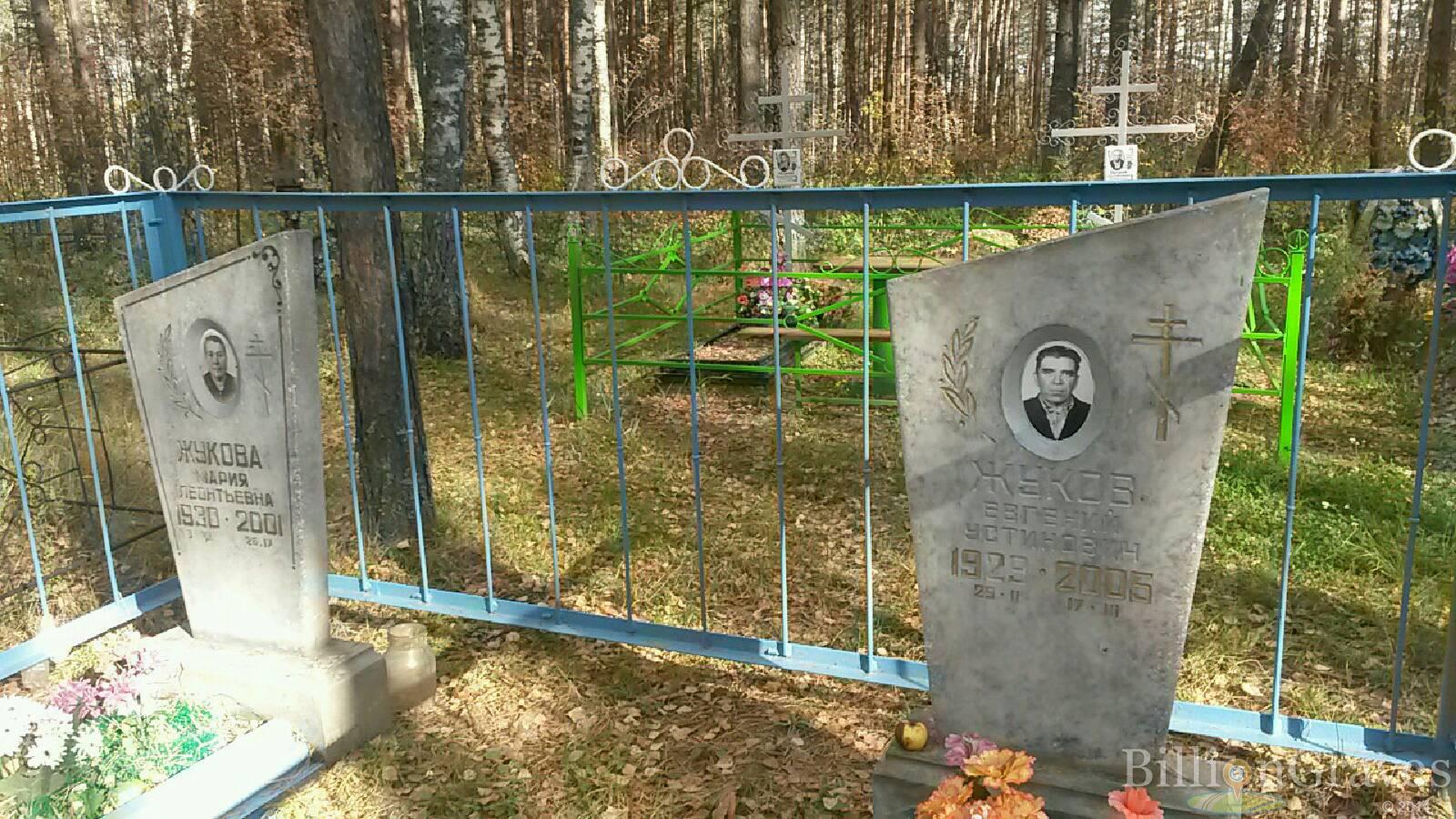 Жуков Евгений Устинович