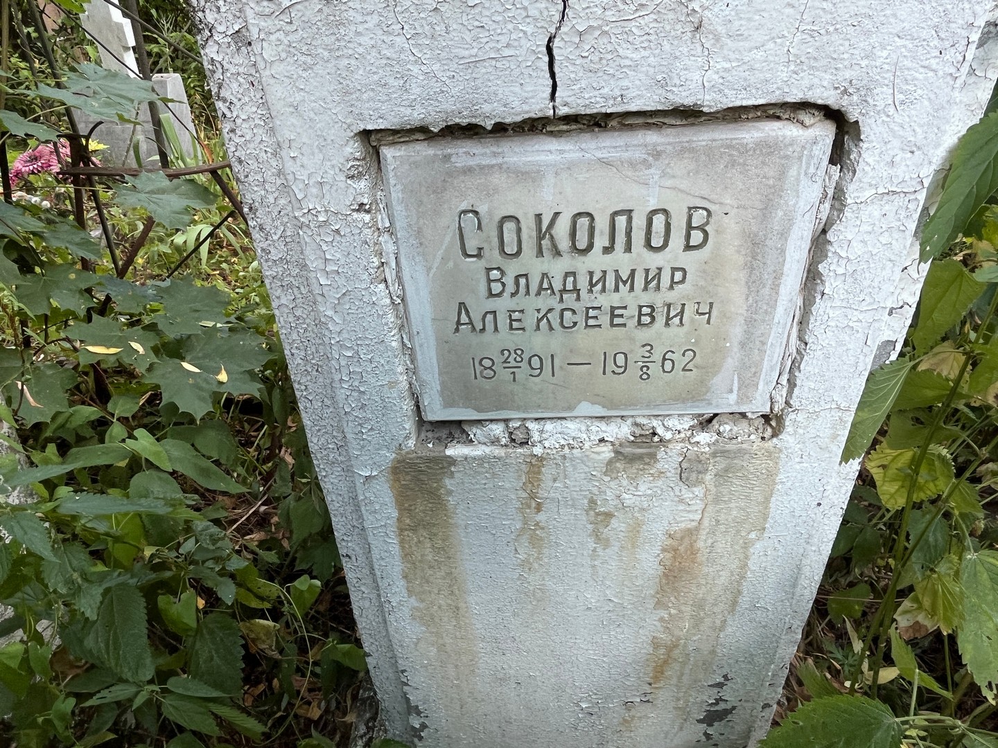 Соколов