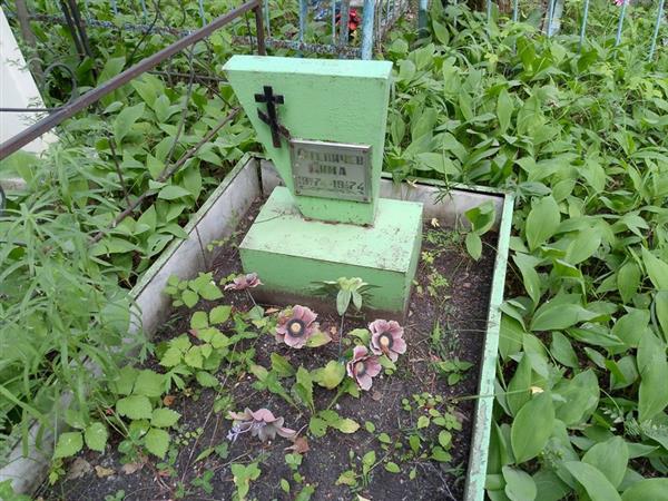 Степичев Дима