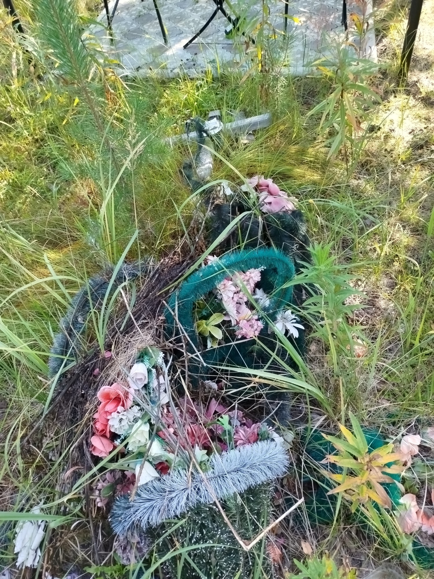 Мачнева Александра Александровна