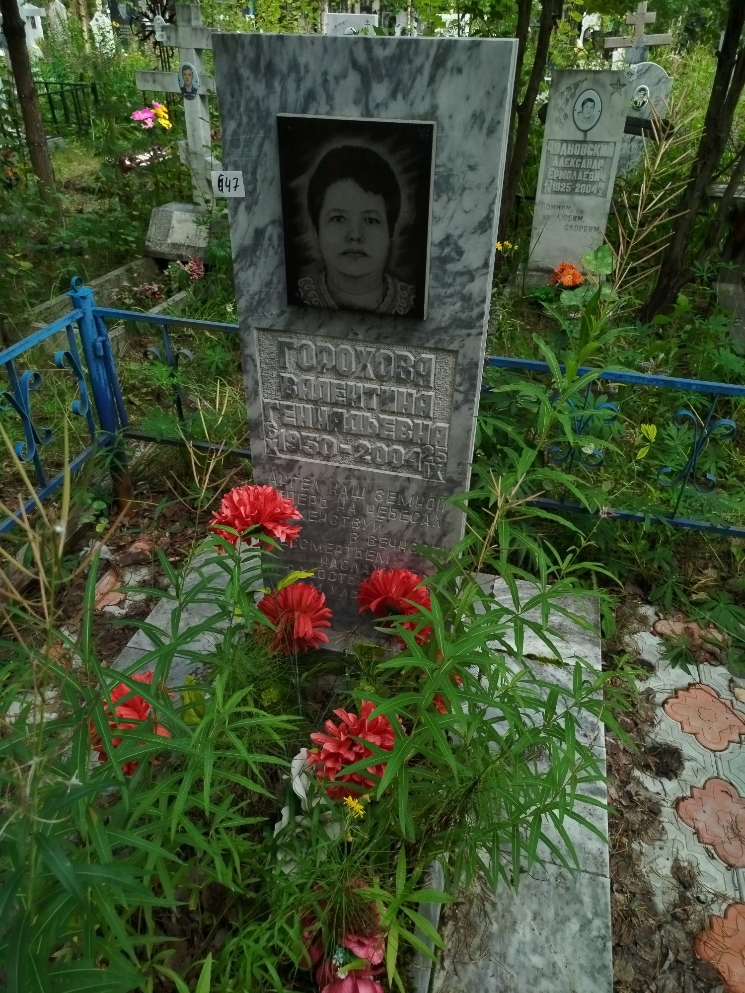 Горохова Валентина Геннадьевна