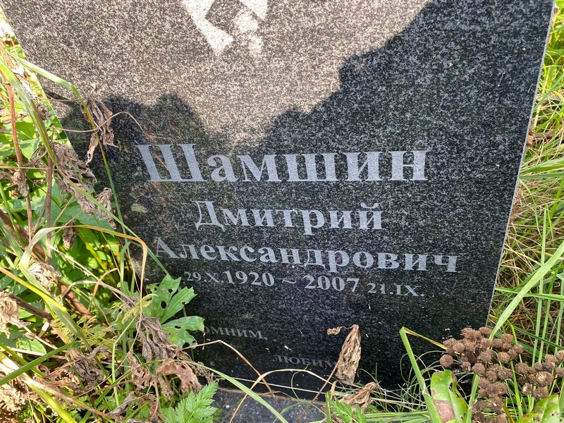Шамшин