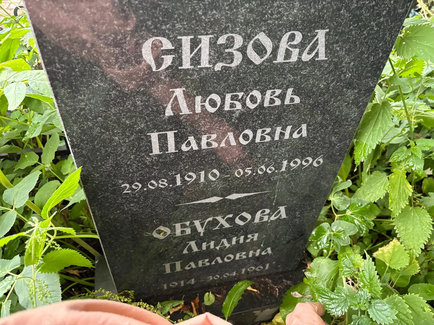 Сизова
