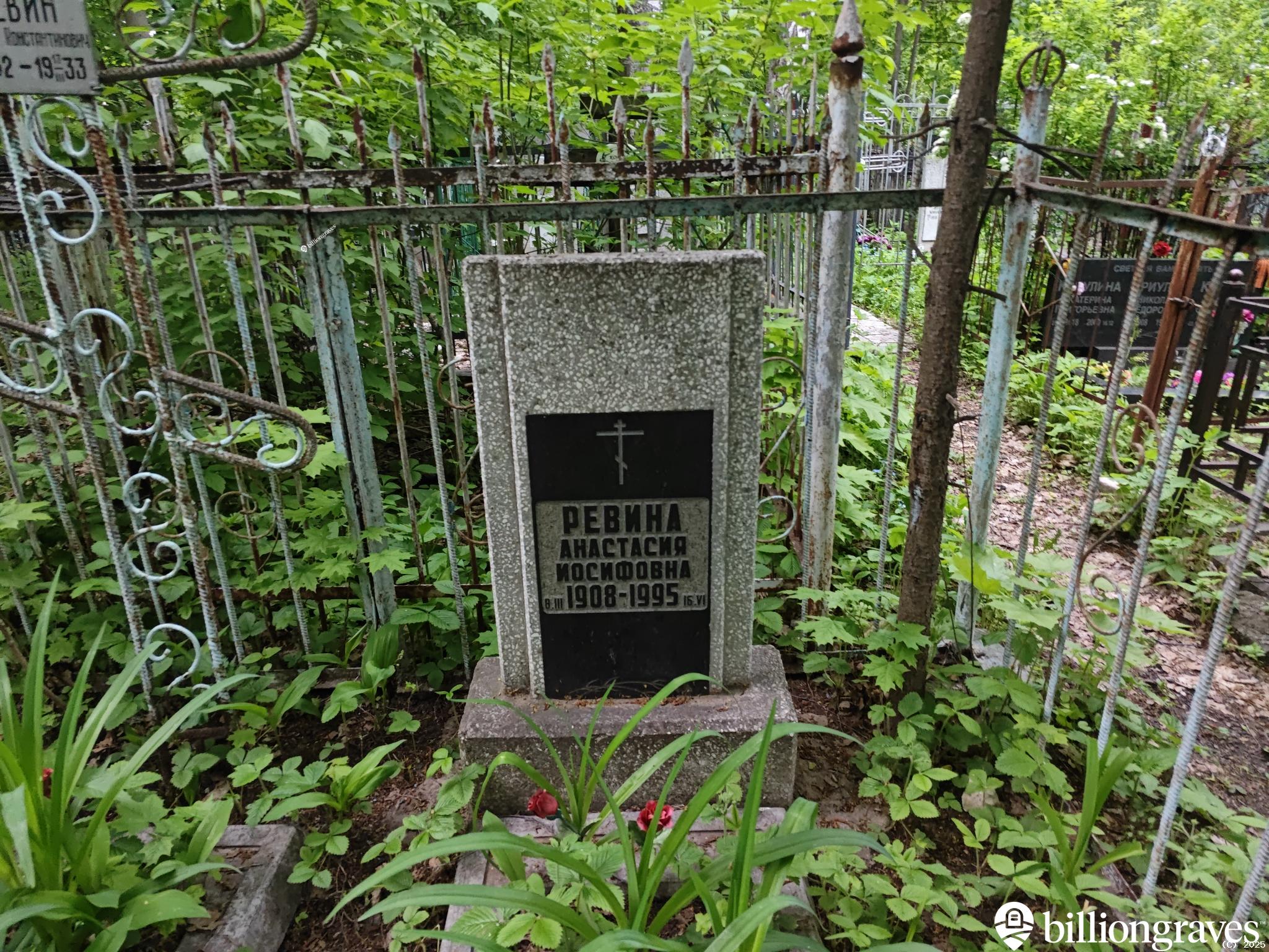 Ревина Анастасия Иосифовна