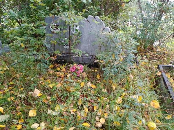 Ширинкина Елена