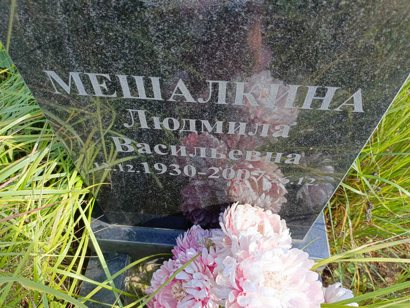 Мешалкина