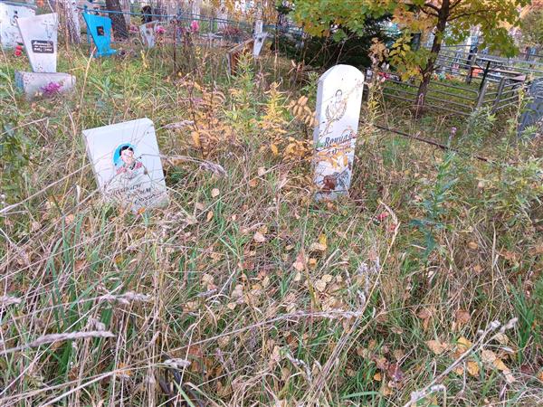 Плаунова Надежда Алексеевна