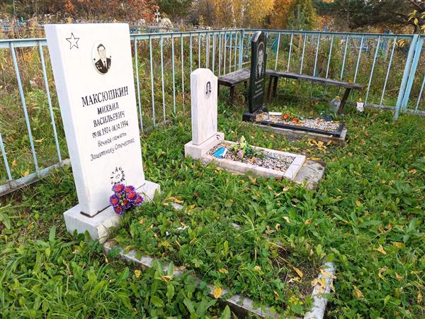 Максюшкина Елена Николаевна