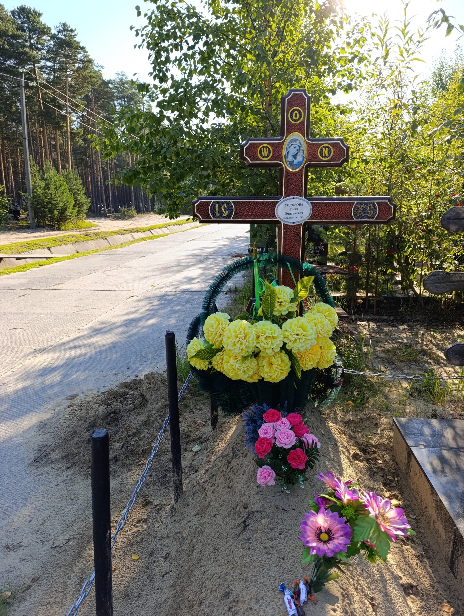 Сидорова Елена Дмитриевна