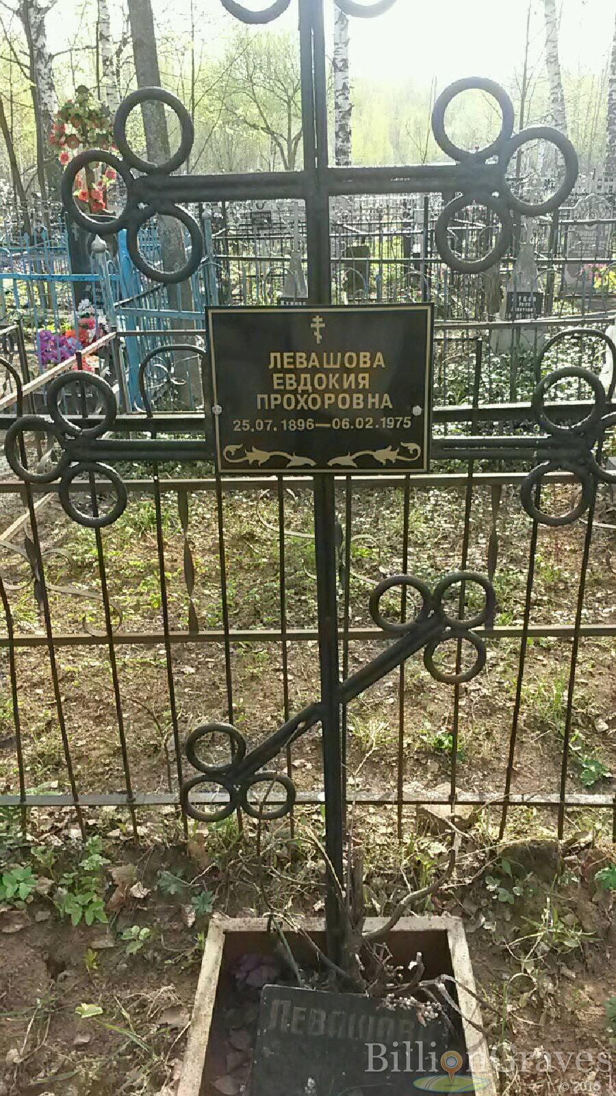 левашова Евдокия прохоровна