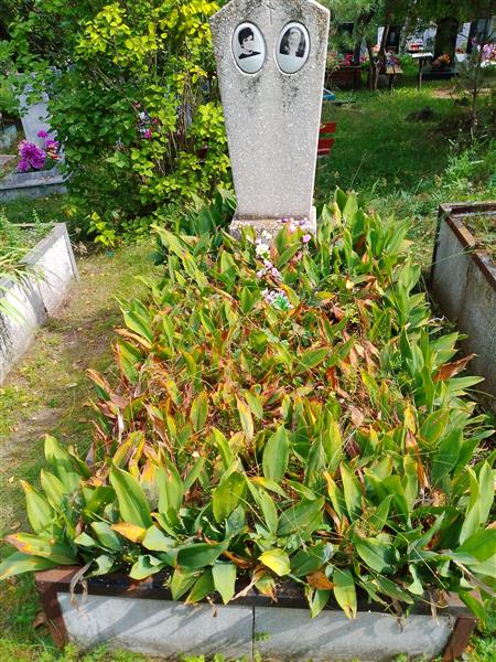 Есаулова Вера Александровна