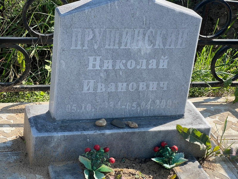 Прушинский