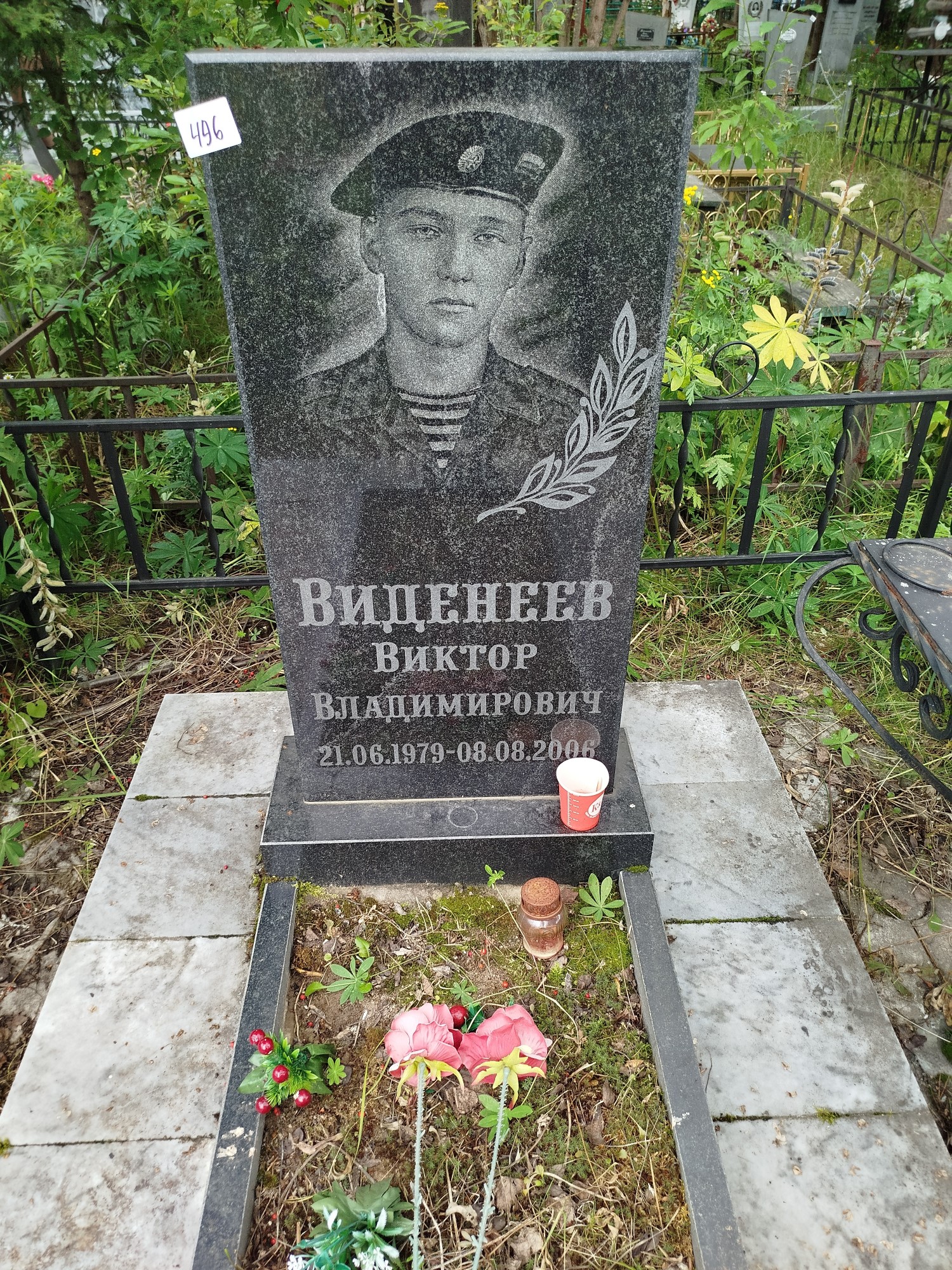 Виденеев Виктор Владимирович