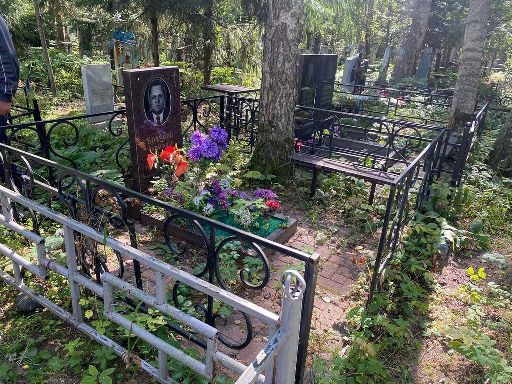 Волчков Александр Викторович
