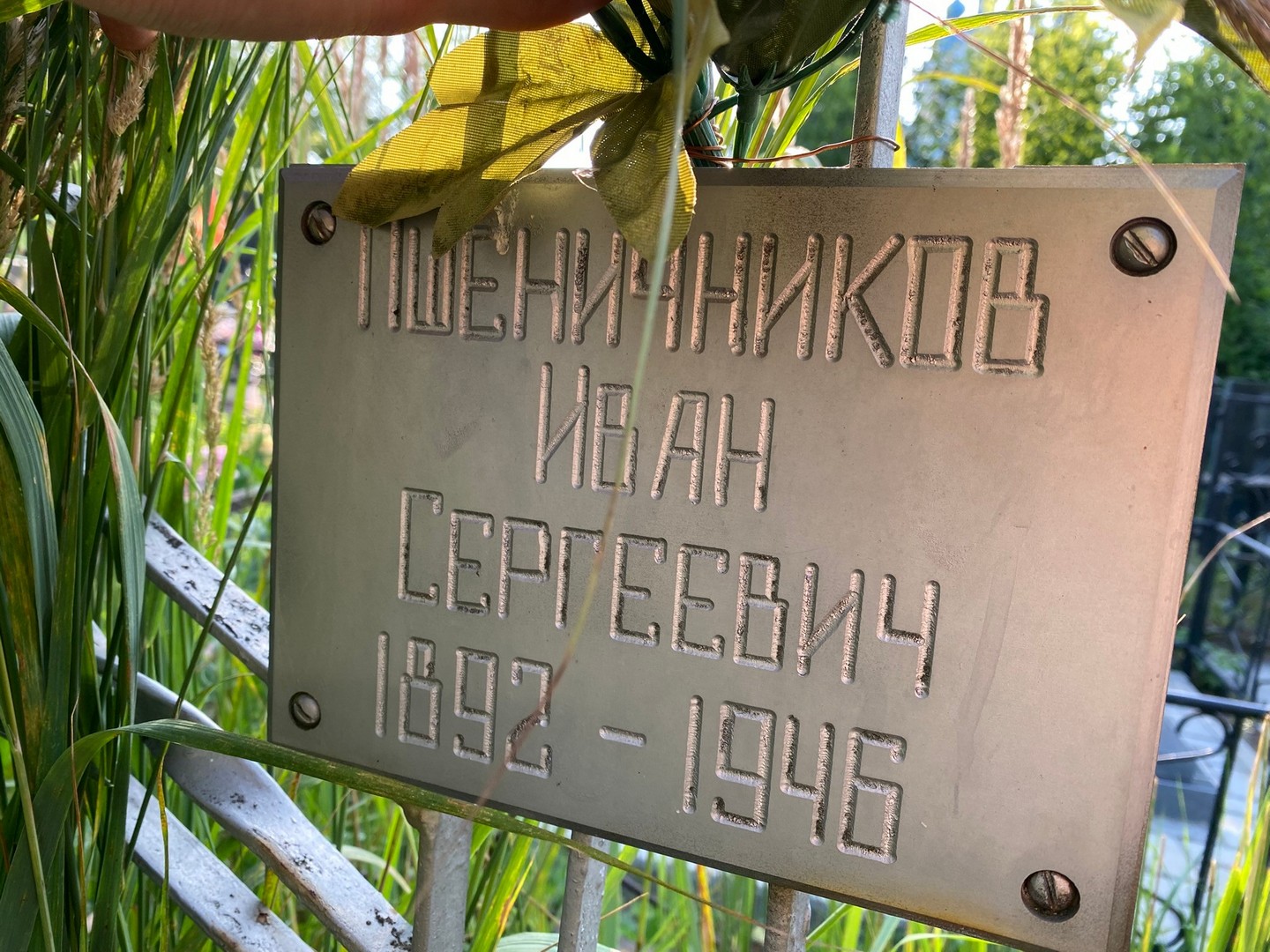 Пшеничников