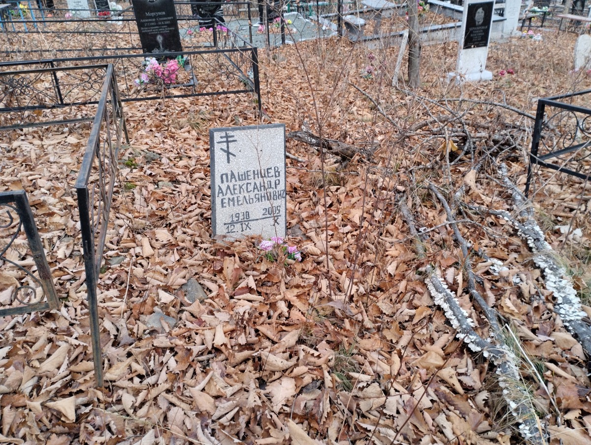 Пашенцев Александр Емельянович