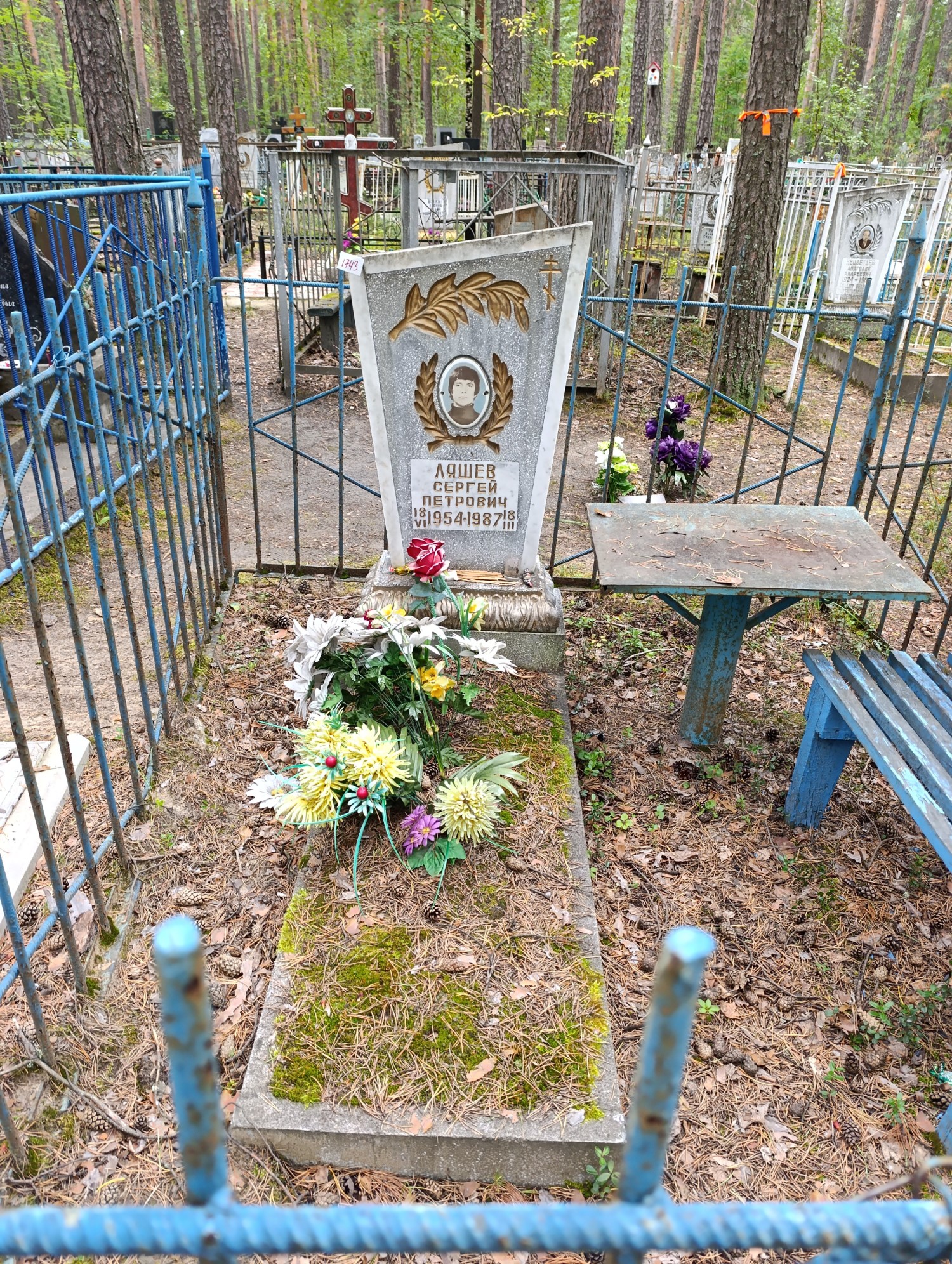Ляшев Сергей Петрович