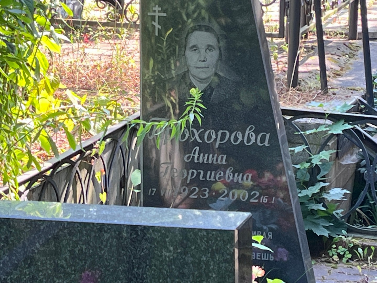 Прохорова