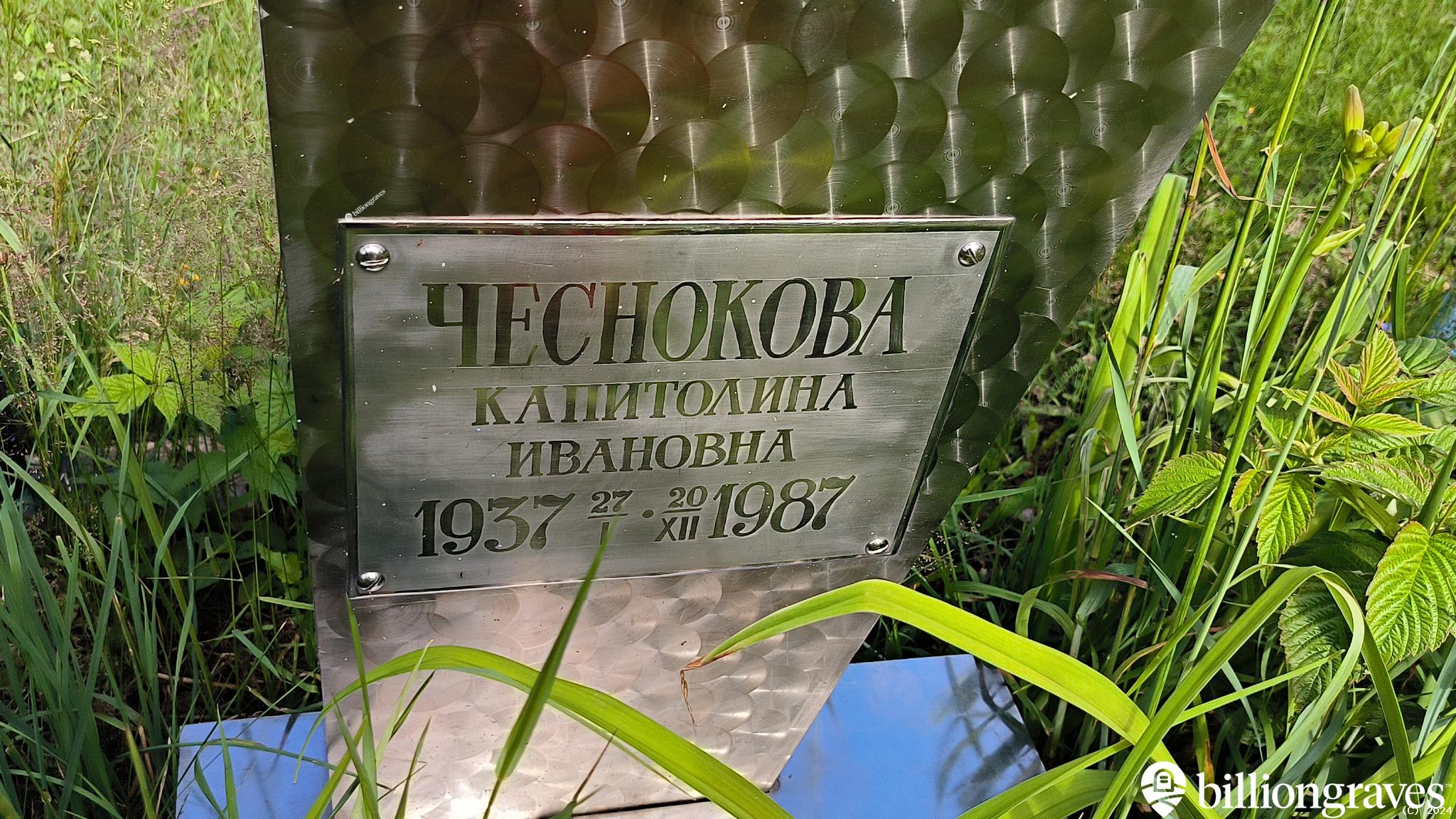 Чесноков Денис Сергеевич