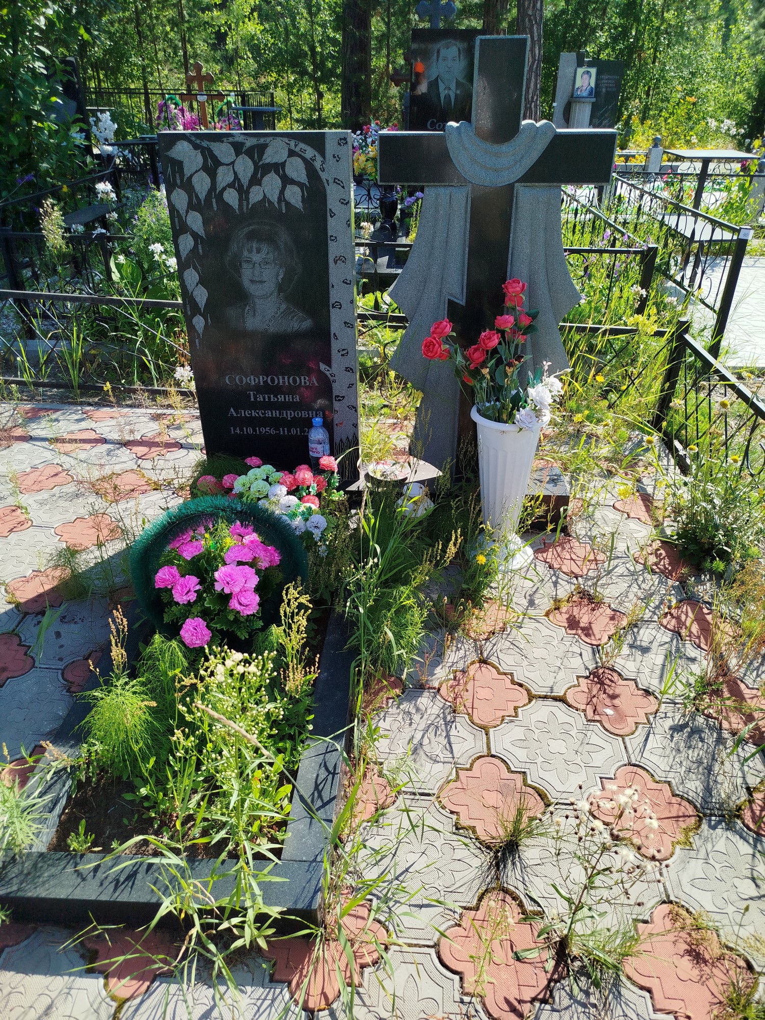 Софронова Татьяна Александровна