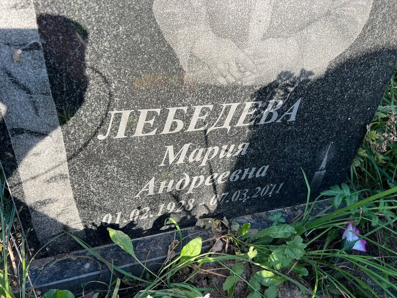 Лебедева