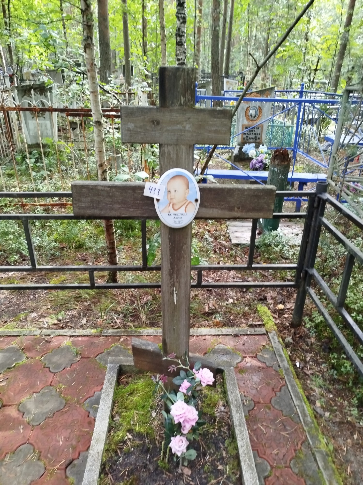 Кочешова Алеся