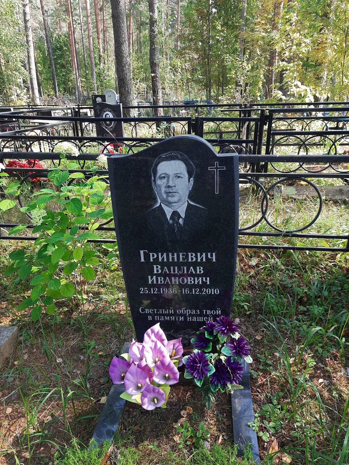 Гриневич Вацлав Иванович
