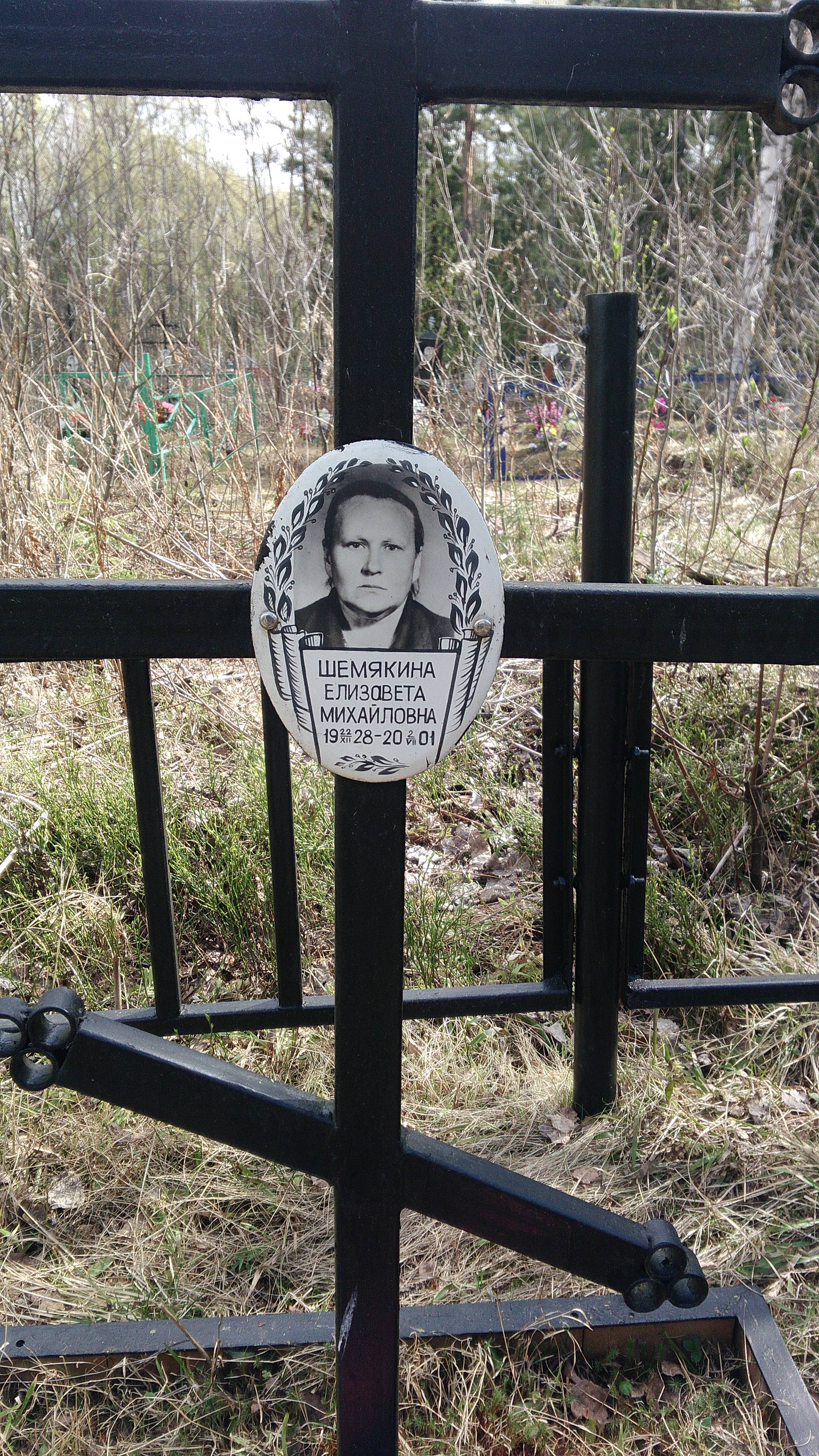 Шемякина Елизавета Михайловна